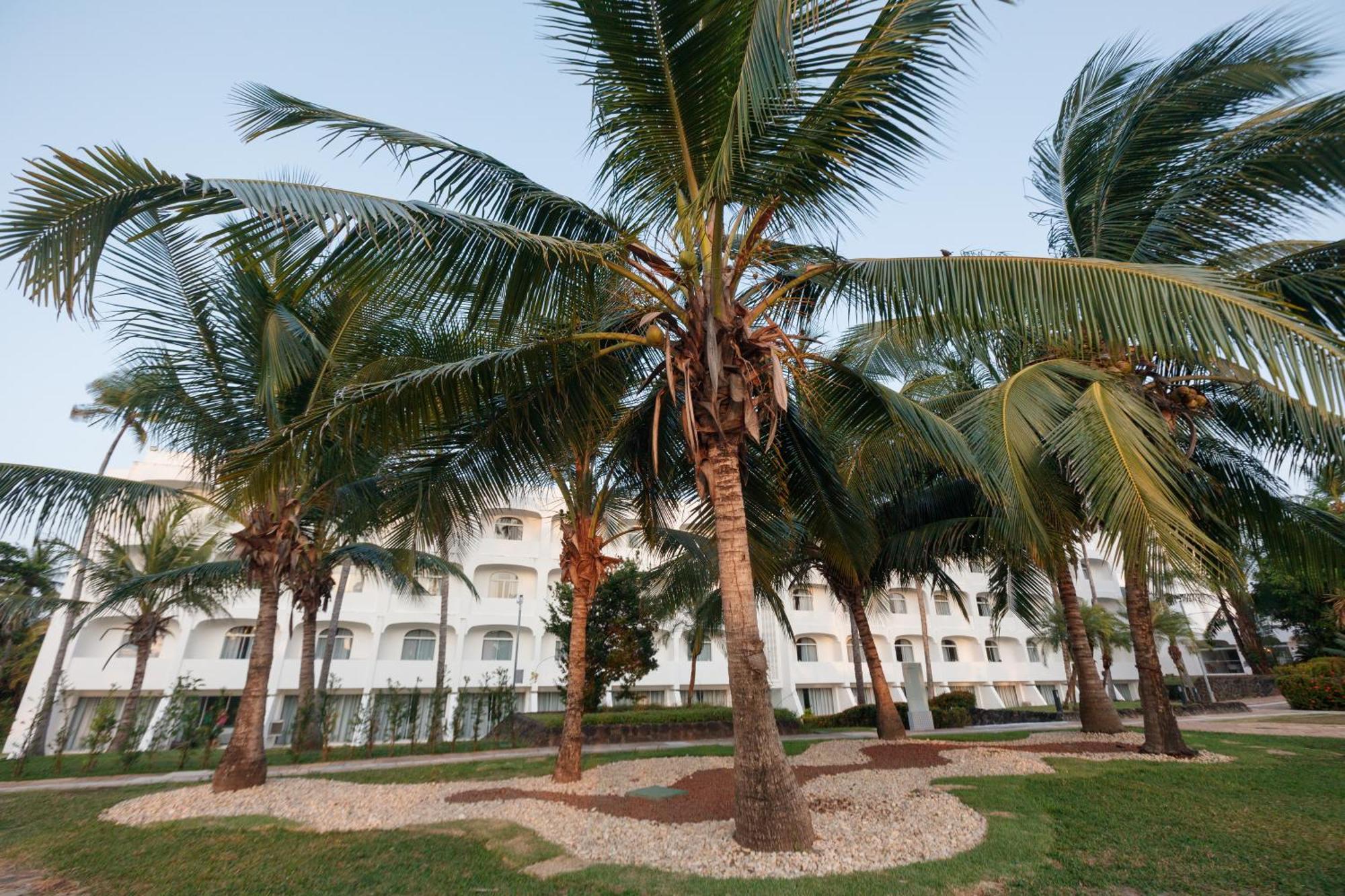 Blue Tree Towers Sao Luis Hotel Buitenkant foto Coconut trees in the city